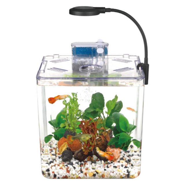 Kit mini aquarium nanbor avec système de filtrage et lampe led – حوض أسماك مع مصباح