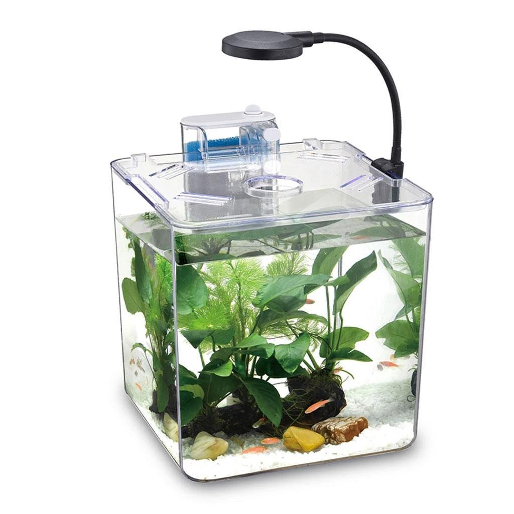 Kit mini aquarium nanbor avec système de filtrage et lampe led – حوض أسماك مع مصباح - الصورة 4