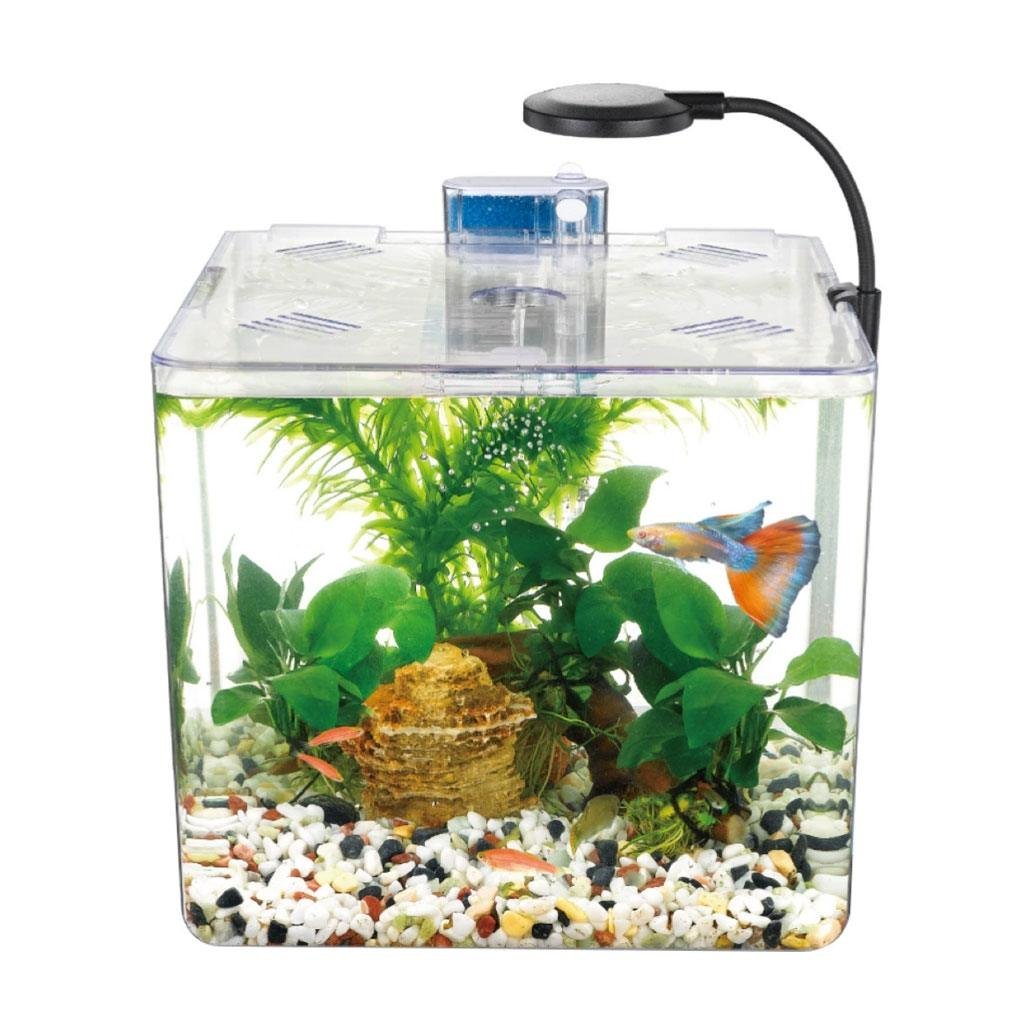 Kit mini aquarium nanbor avec système de filtrage et lampe led – حوض أسماك مع مصباح - الصورة 3