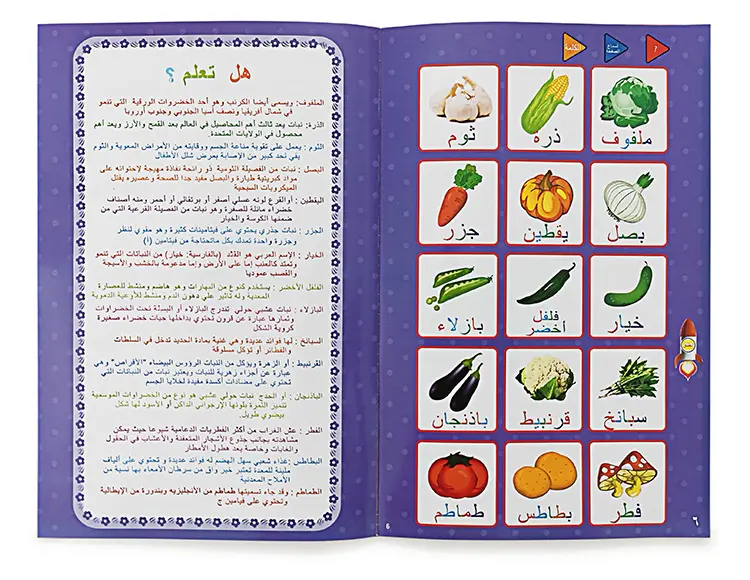 الكتاب الالكتروني للمفردات العربية لتعليم سهل و مرح Livre Electronique De Vocabulaire Arabe Pour Un Apprentissage Facile Et Amusant